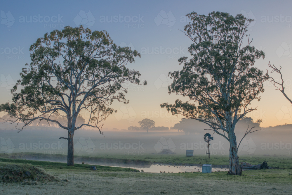 A windmill in the country on a misty morning - Australian Stock Image
