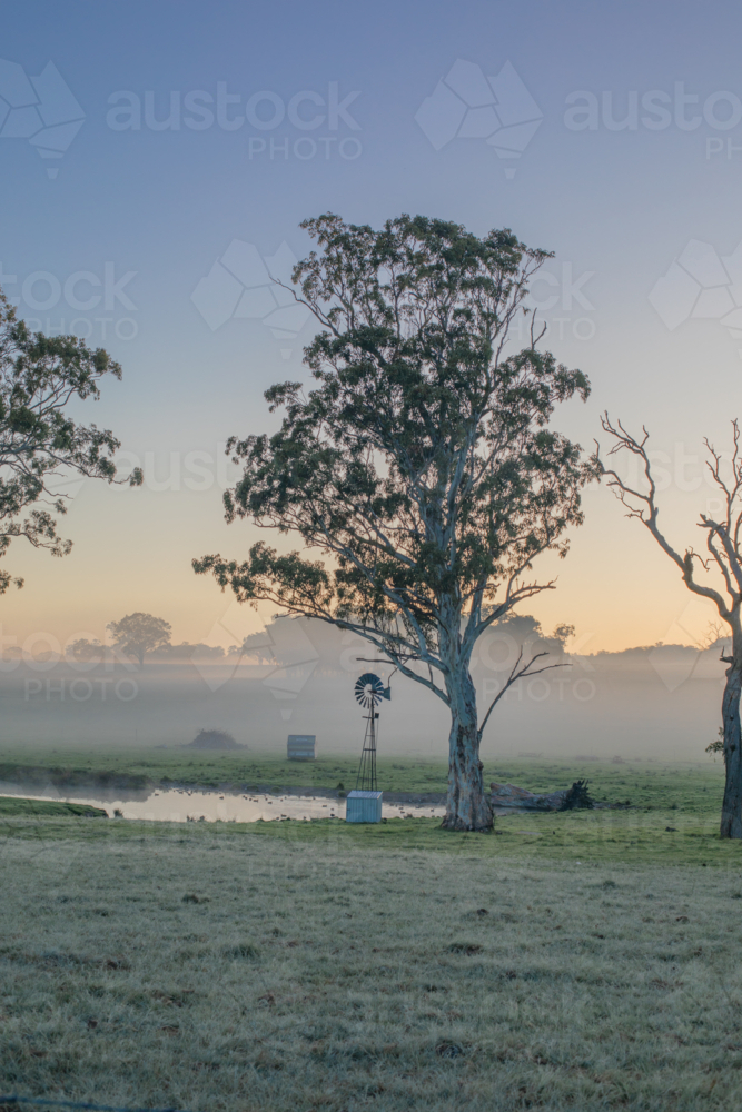 A windmill in the country on a misty morning - Australian Stock Image