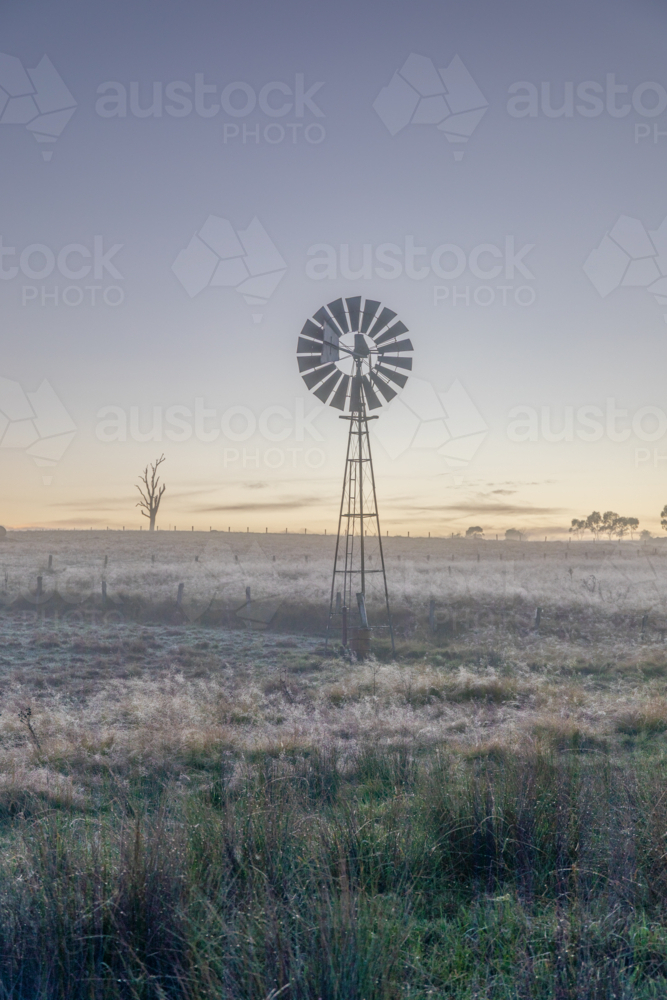 A winter's morning, a frozen field, a soft dawn sky and a windmill - Australian Stock Image