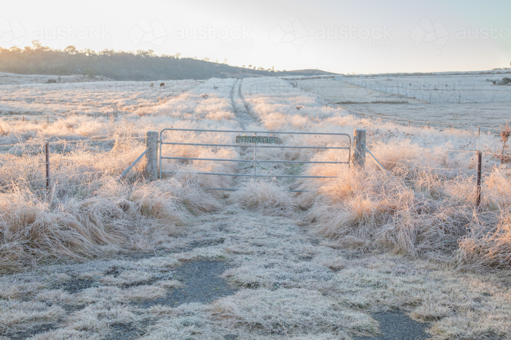 A winter scene with a gate and tracks in a frozen field - Australian Stock Image