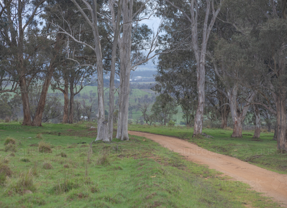 A winter scene with soft dawn skies and frozen icy fields - Australian Stock Image