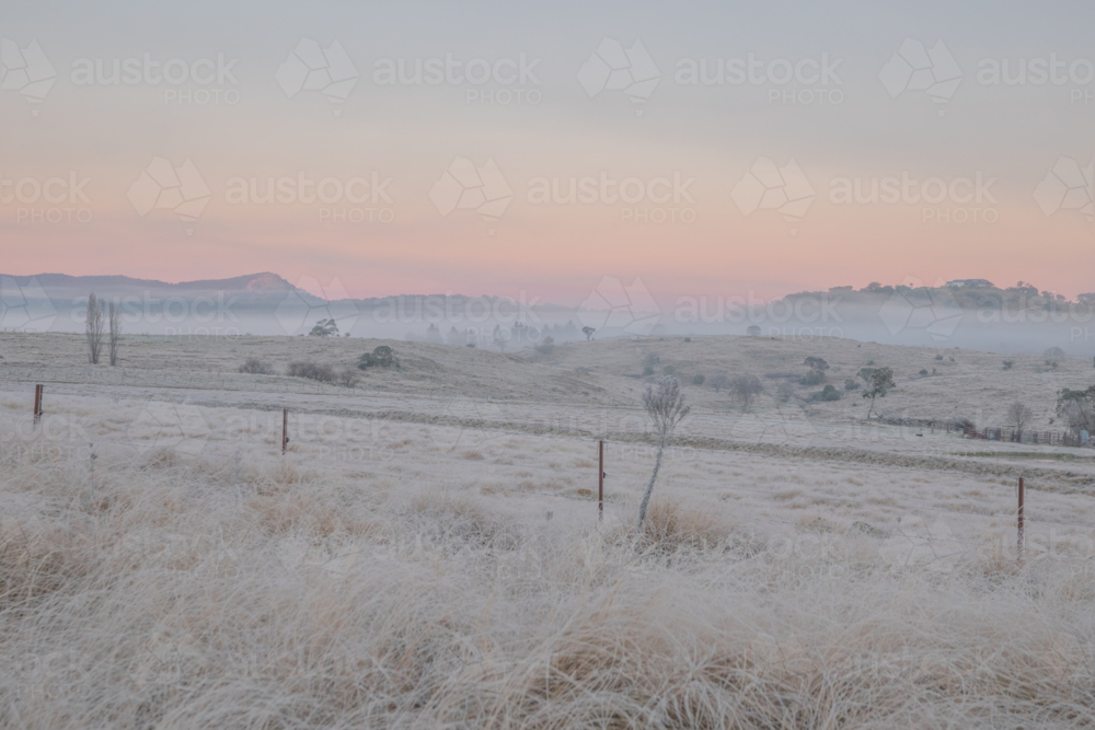 A winter scene with soft dawn skies and frozen icy fields - Australian Stock Image