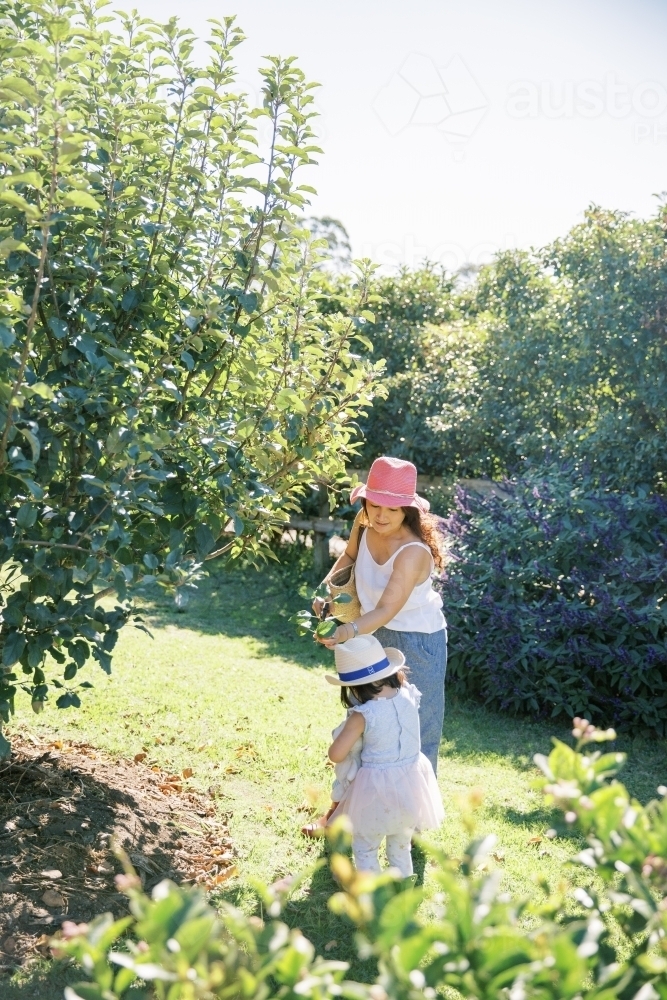A woman and child spending quality time in the garden - Australian Stock Image