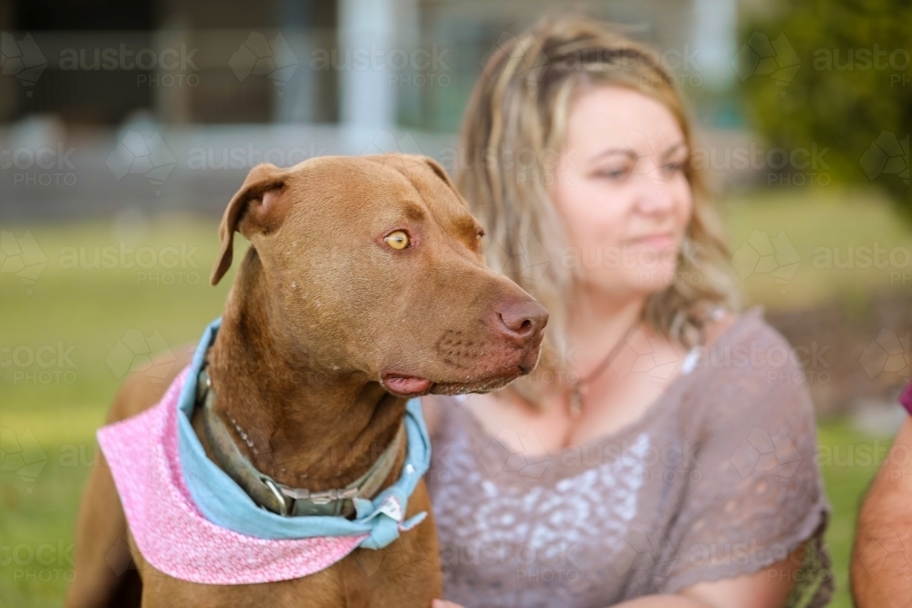 A woman and her dog sitting on the grass in the park - Australian Stock Image