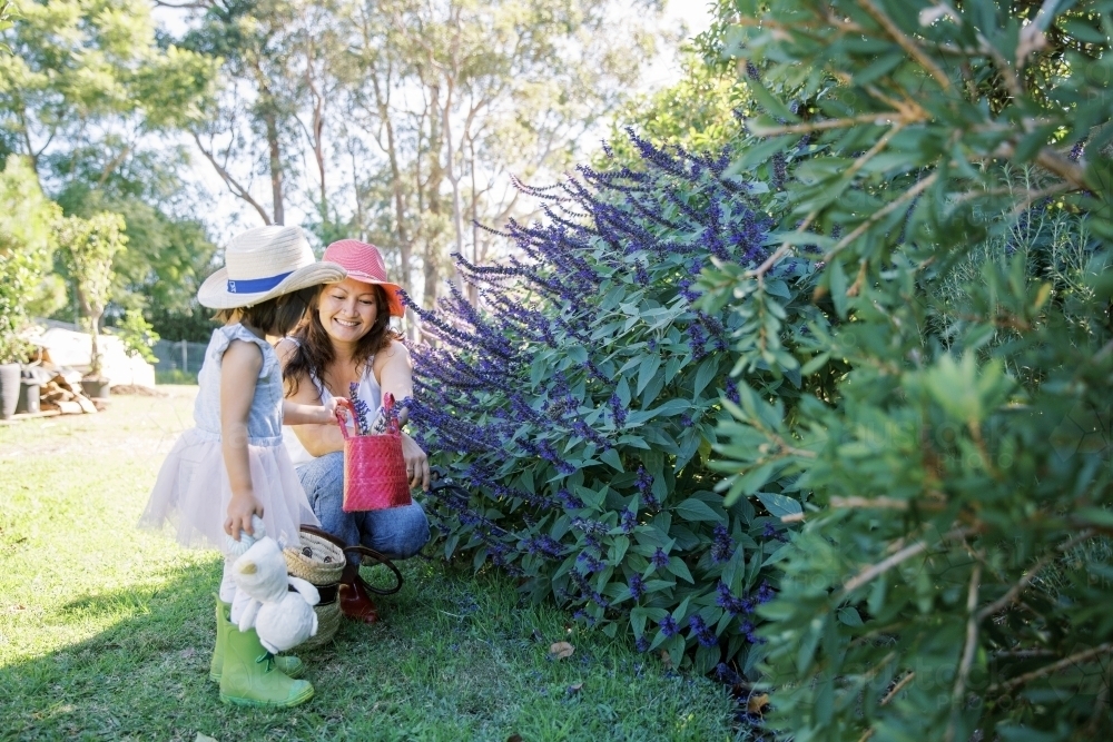 A woman and toddler girl playing in the backyard garden - Australian Stock Image