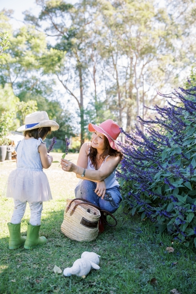 A woman and toddler girl playing in the backyard garden - Australian Stock Image