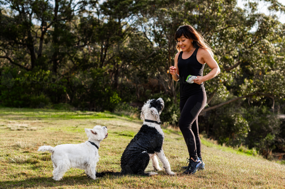 A woman engages her two dogs, one white and one black, in training activities outdoors - Australian Stock Image