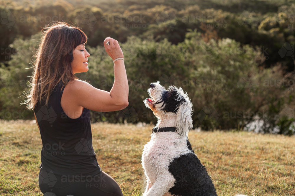 A woman engages with her dog, teaching tricks at sunset in a peaceful landscape. - Australian Stock Image