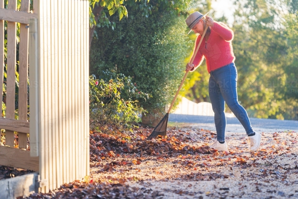 A woman in a bright coloured jumper raking up leaves in a driveway - Australian Stock Image