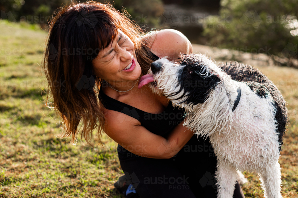 A woman laughs as her wet dog playfully licks her face in the grass on a sunny day - Australian Stock Image
