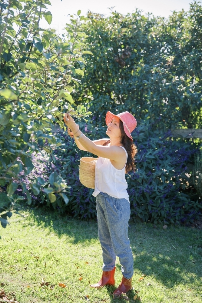 A woman wearing a hat spending time in her garden - Australian Stock Image