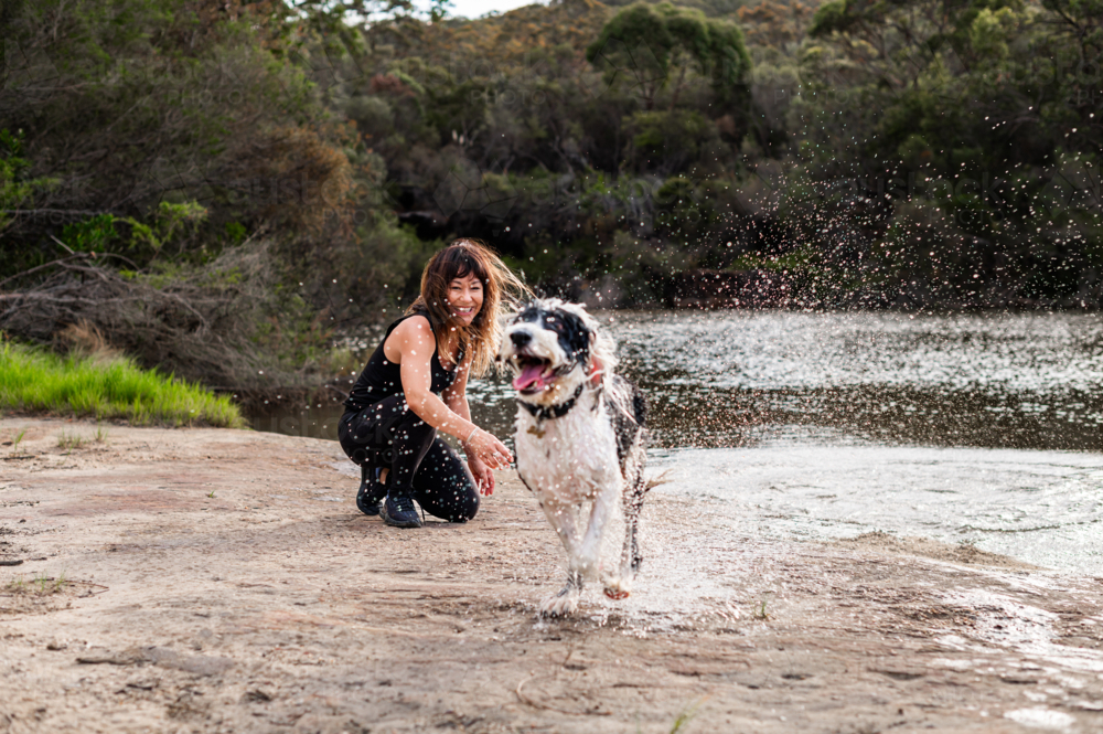 A woman with long hair enjoys quality time by the river, laughing as her dog splashes around. - Australian Stock Image