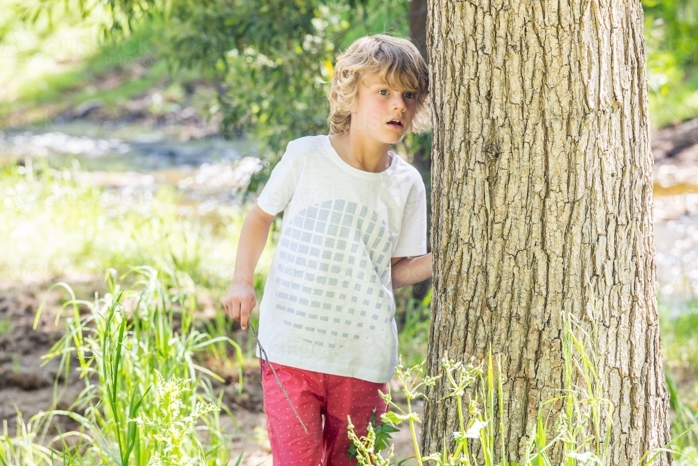 A young boy hiding behind a tree trunk in a park - Australian Stock Image