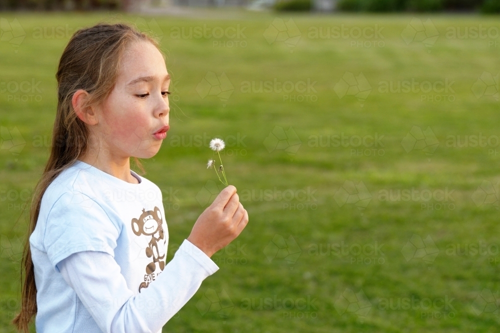 A young girl blowing a dandelion flower making a wish, copy space - Australian Stock Image