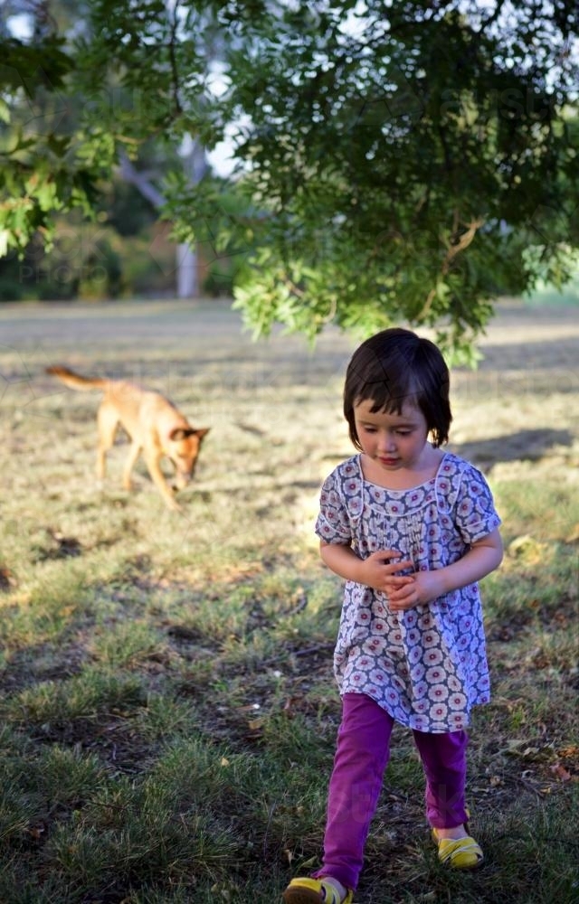 A young girl playing with a dog under a tree at sunset - Australian Stock Image