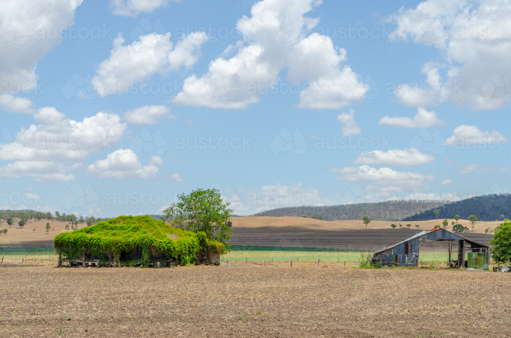 abandoned farmhouse overgrown with foliage in australian countryside - Australian Stock Image