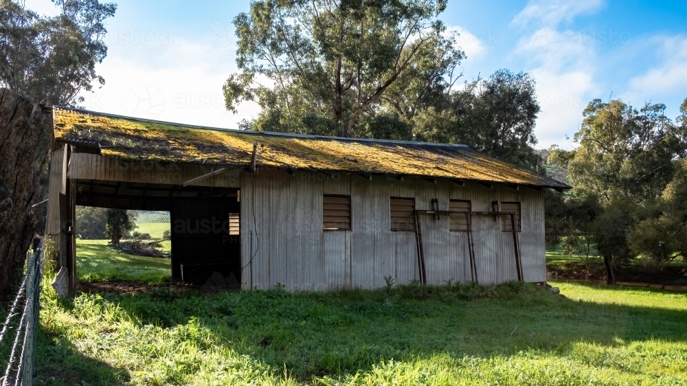Abandoned old wooden barn with view of vines through barn opening - Australian Stock Image