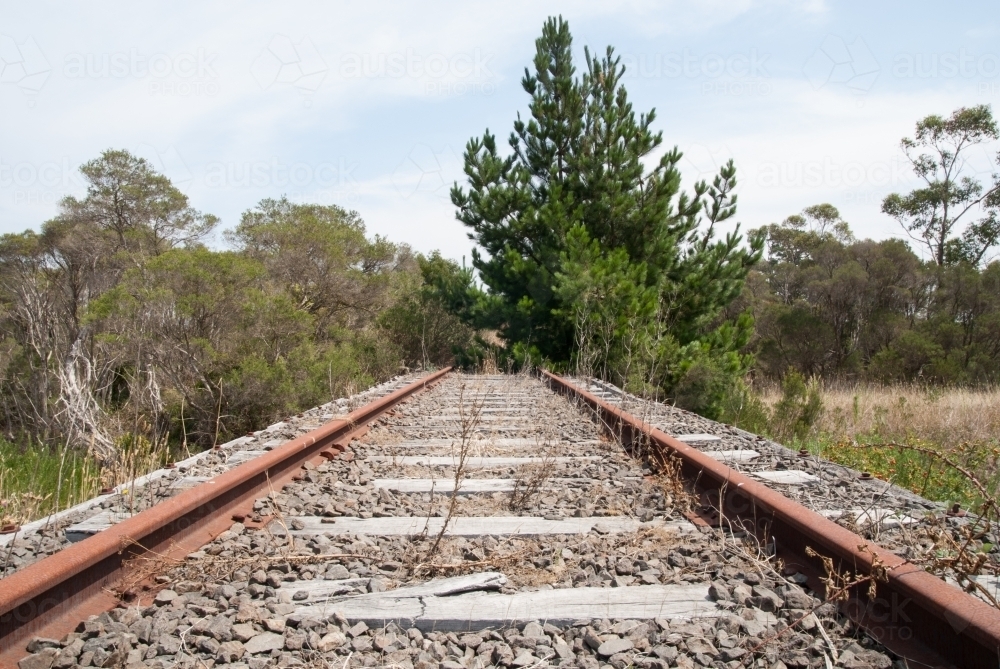 Abandoned train tracks leading into the bushland - Australian Stock Image