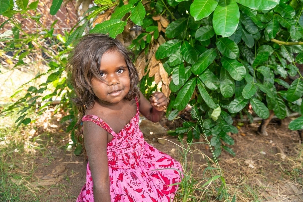 Aboriginal 3 year old girl in the garden - Australian Stock Image