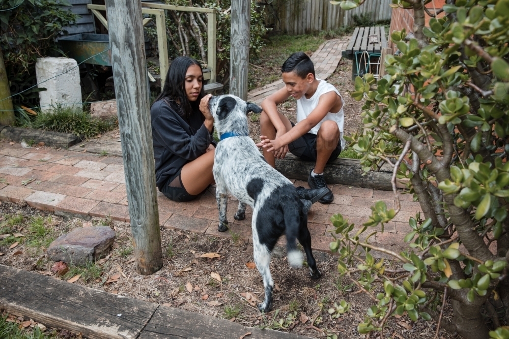 Aboriginal boy and girl with dog in backyard - Australian Stock Image