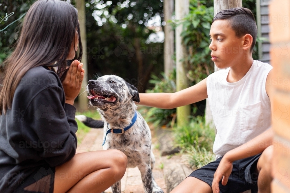 Aboriginal family playing with their cattle dog in the backyard - Australian Stock Image