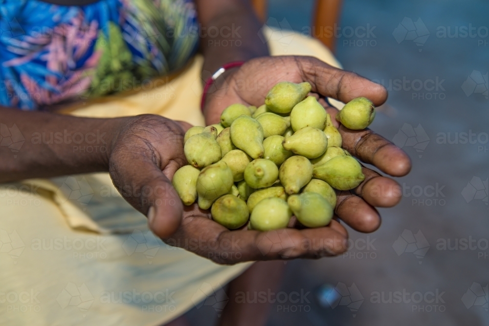 Aboriginal holding Kakadu Plums - Australian Stock Image