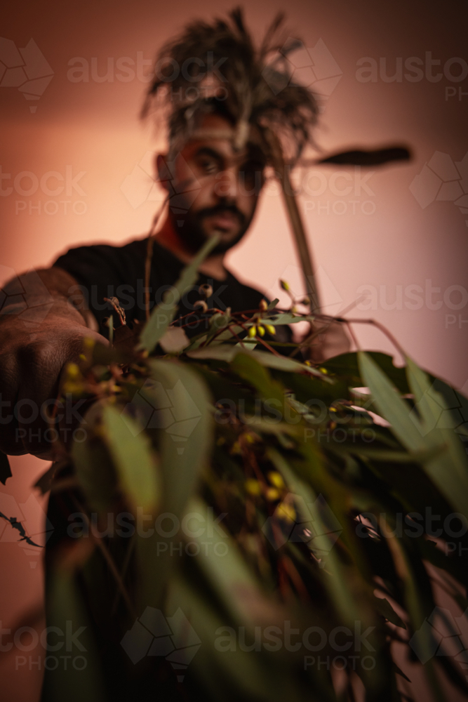 Aboriginal man with feathered headdress holding out a branch of eucalyptus tree - Australian Stock Image