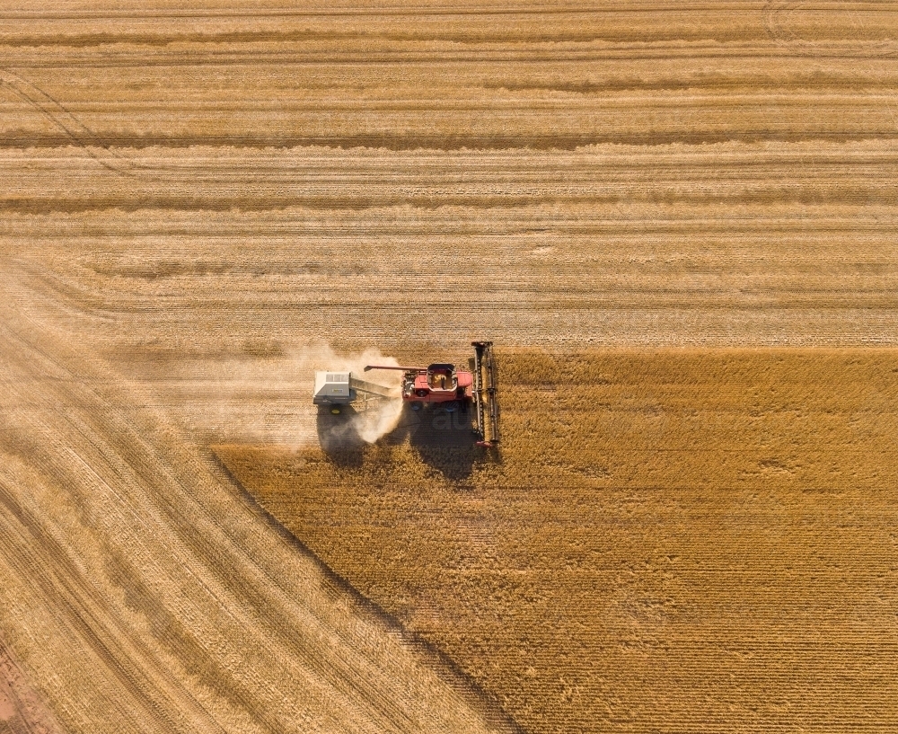 Above view of harvester towing chaff cart through crop - Australian Stock Image