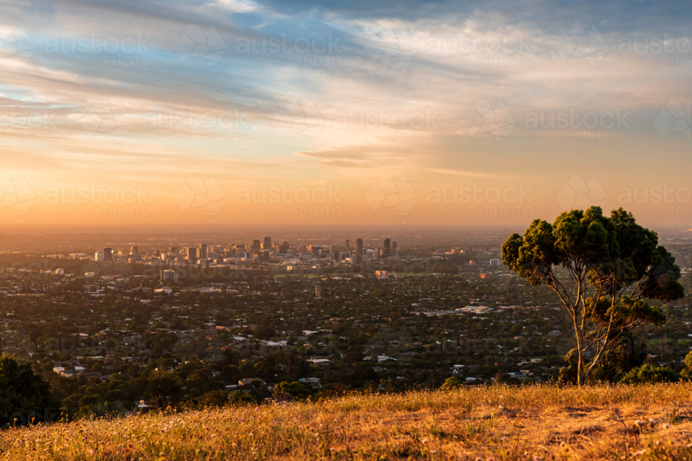 Adelaide City viewing from hill top Mt Osmond - Australian Stock Image