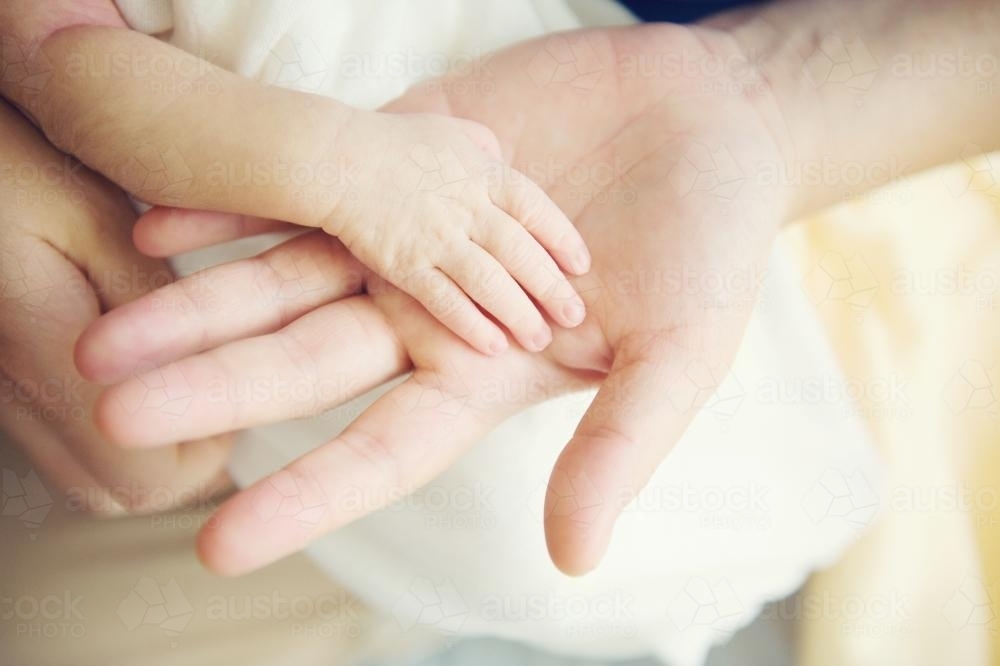 Adult hand with baby hand - Australian Stock Image