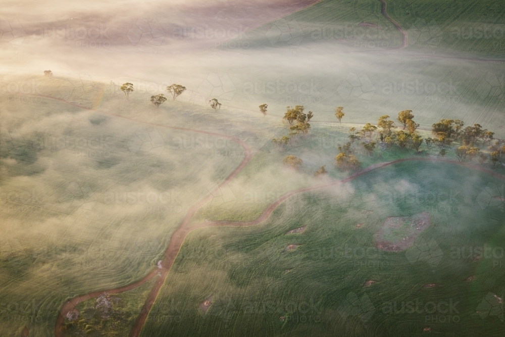 Aerial farm landscape in the Avon Valley in Western Australia - Australian Stock Image