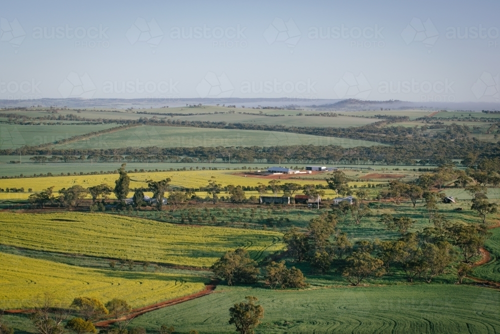 Aerial farm landscape in the Avon Valley in Western Australia - Australian Stock Image