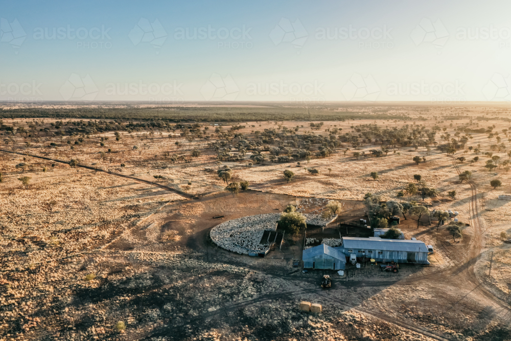 Aerial image of a farmland with sparse trees and farmhouse - Australian Stock Image