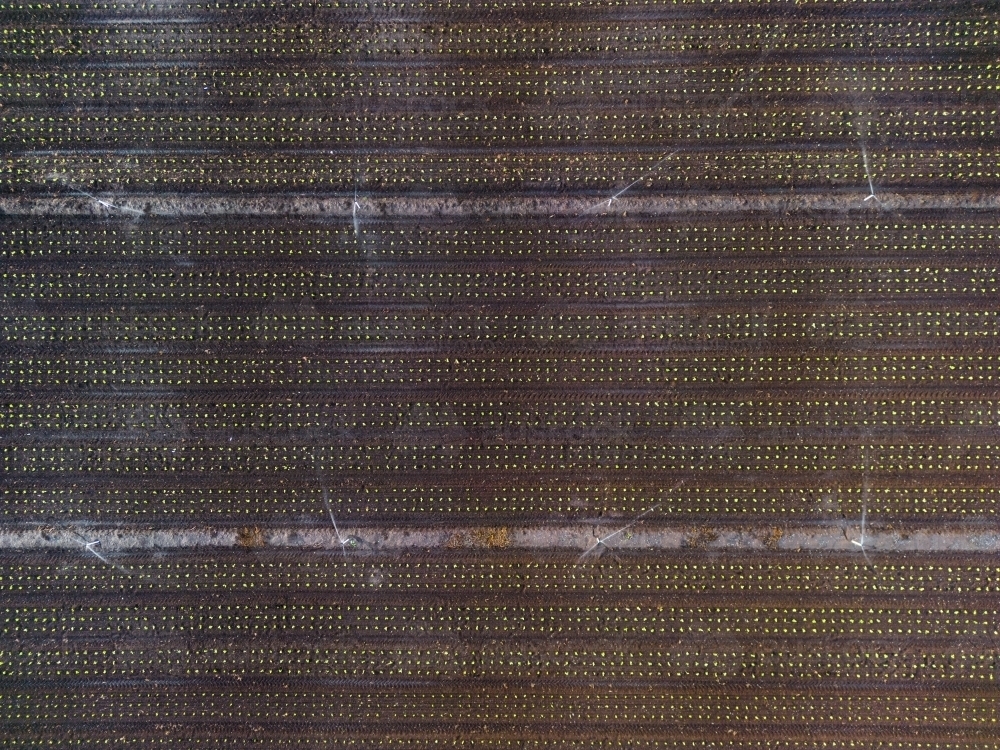 Aerial image of the rich brown earth in the agricultural area of Gatton, Queensland - Australian Stock Image