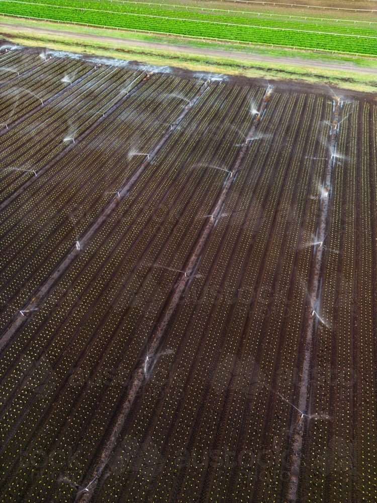 Aerial image of the rich brown earth in the agricultural area of Gatton, Queensland - Australian Stock Image