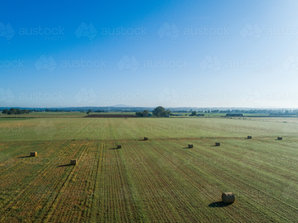 Image of Aerial landscape view of round hay bales in sunlit farm ...