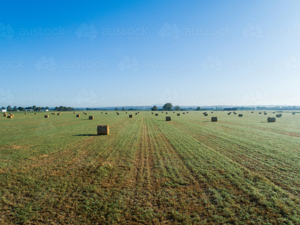 Aerial landscape view of round hay bales in sunlit farm paddock on dewy autumn morning - Australian Stock Image