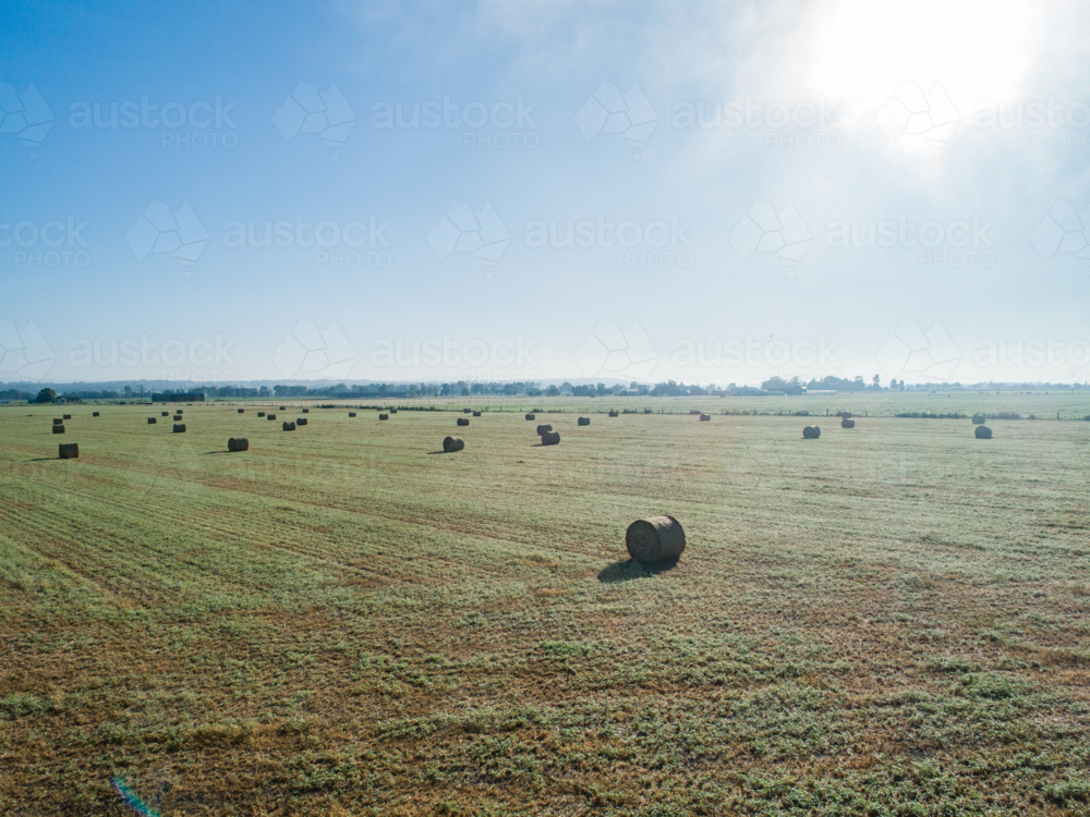 Aerial landscape view of round hay bales in sunlit farm paddock on dewy autumn morning - Australian Stock Image