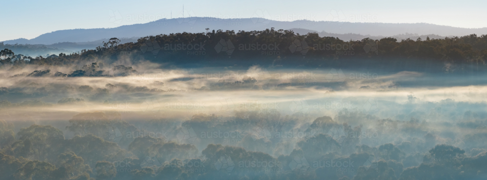 Image of Aerial panorama of layers of fog lying in a valley of bushland ...