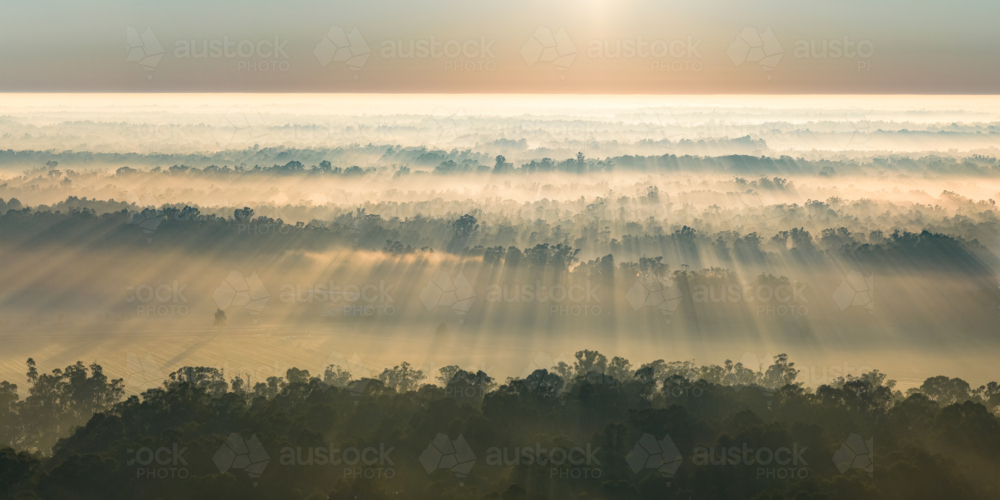 Aerial panorama of rays of sunshine through fog over gumtrees at Moama in New South Wales - Australian Stock Image