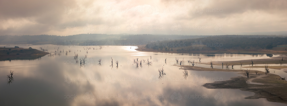 Aerial panorama view of foggy morning light over a calm reservoir full of dead tree - Australian Stock Image