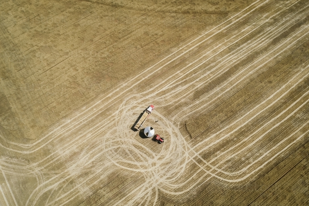 Aerial photo of filling a truck at harvest in the Wheatbelt of Western Australia - Australian Stock Image