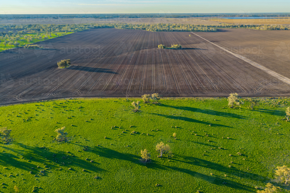 Aerial scene showcasing cultivated farmland surrounded by a lush green landscape - Australian Stock Image