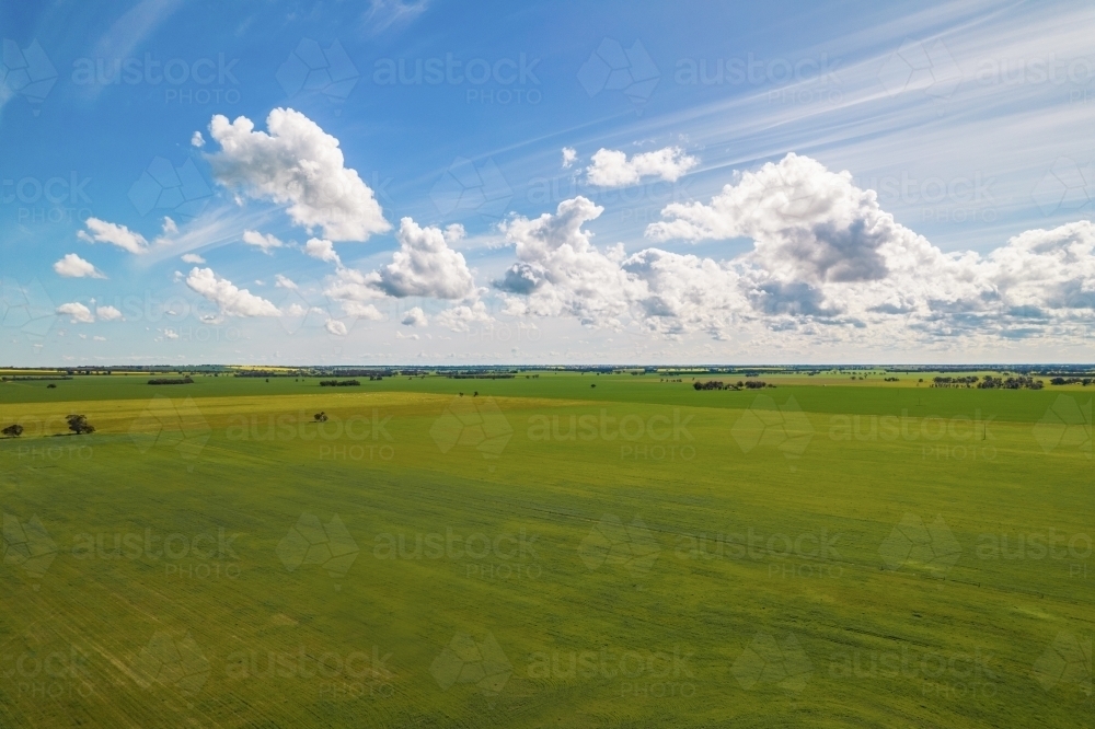 aerial shot of a big open field under cloudy blue skies : Austockphoto aerial shot of a big open field under cloudy blue skies - Australian Stock Image
