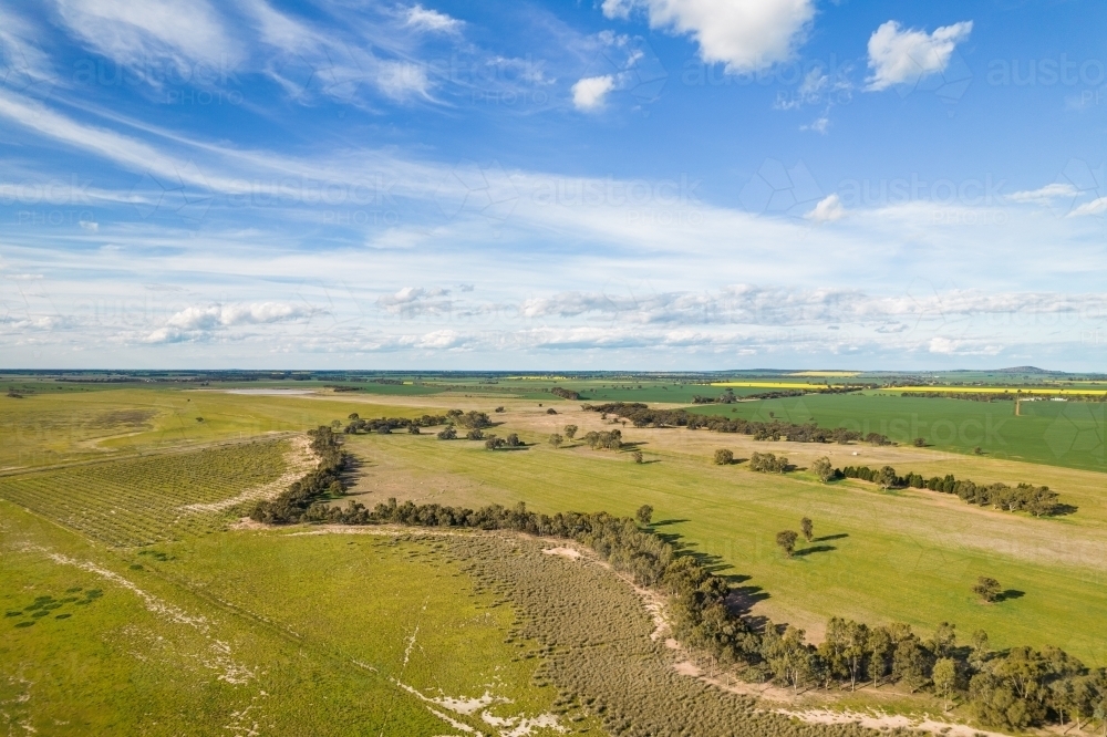 Large Field Image of aerial shot of a big open field with trees under blue skies ...