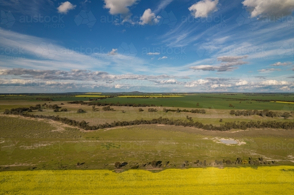 aerial shot of a big open field with trees under blue skies - Australian Stock Image