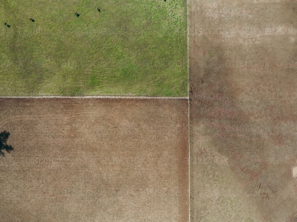 Aerial shot of a farm paddock divided into smaller paddocks - Australian Stock Image