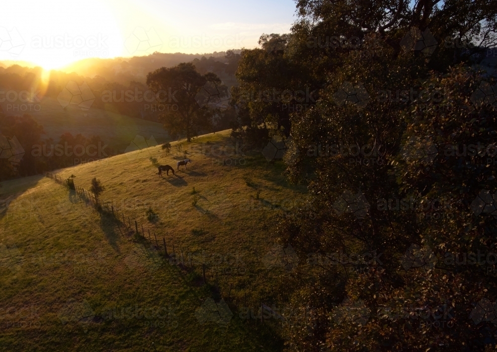Aerial Shot of Farmland in Victoria - Australian Stock Image