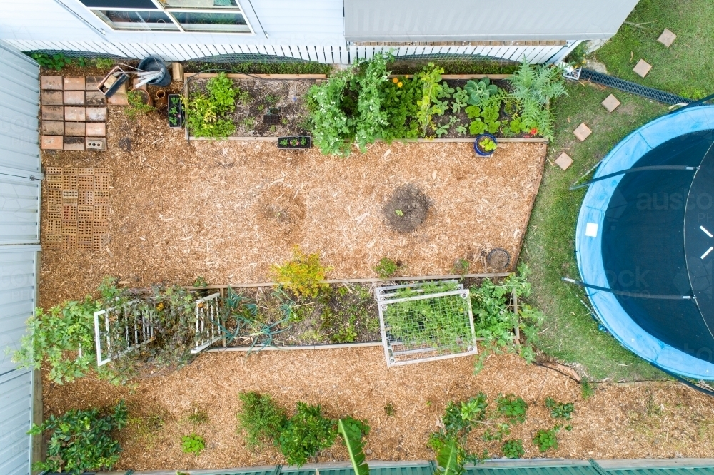Aerial view of a backyard vegetable patch and trampoline. - Australian Stock Image
