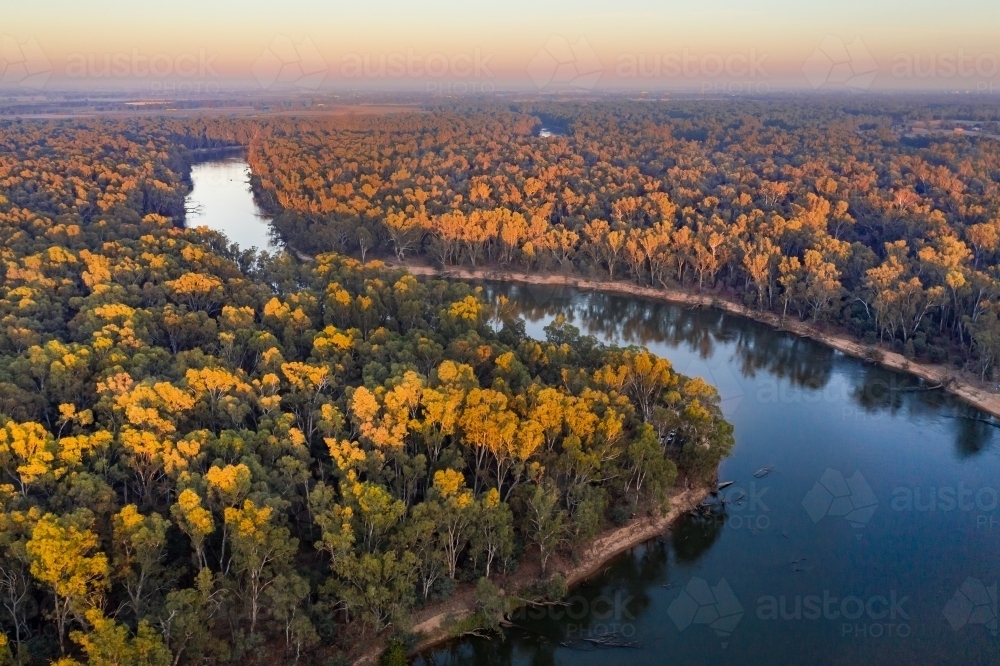 Aerial view of a bend in a river with gum trees lining the river banks. - Australian Stock Image